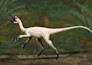do reconstructions of organisms and prehistoric environments